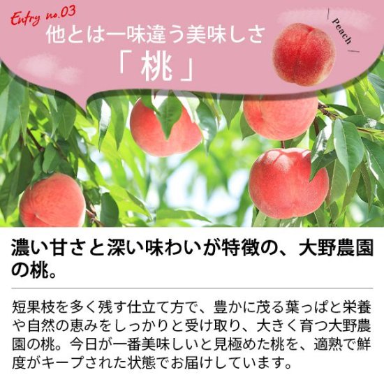 ジュース ギフト フルーツ 果実ジュース 500ml 3本 りんご 梨 桃 セット 詰め合わせ 大野農園 おしゃれ 22130 (8) -  ギフトが安い！激安ギフトショップ｜70％OFF～人気カタログギフトも驚きの半額半値