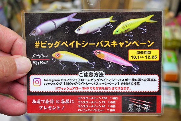 フィッシュアロー×DRT Dart Jack ＃09 バイオレット - BPウェブショップ