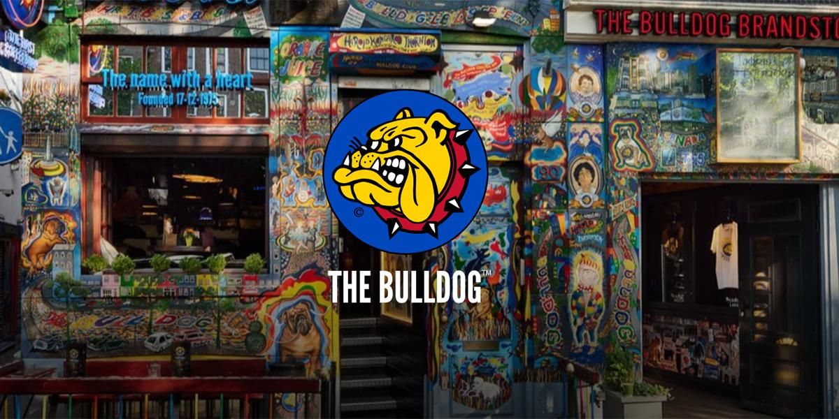 Bulldog - headshop ZiPPY! Bulldog - headshop ZiPPY!
