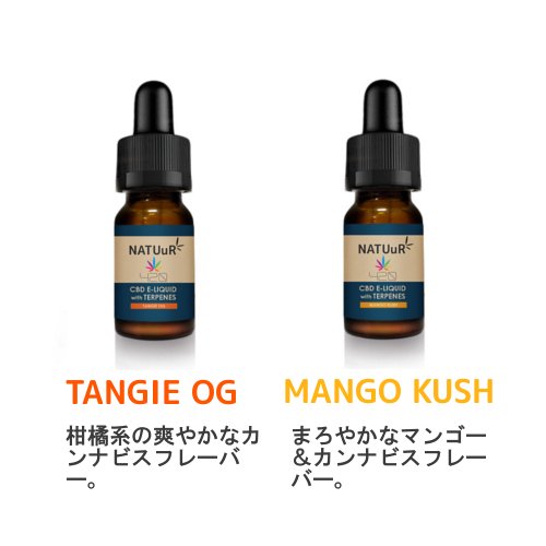 古典 FUJI最強リキッド1ml CHEMISTRY⑧天然大麻テルペン 各種配合 - 小物