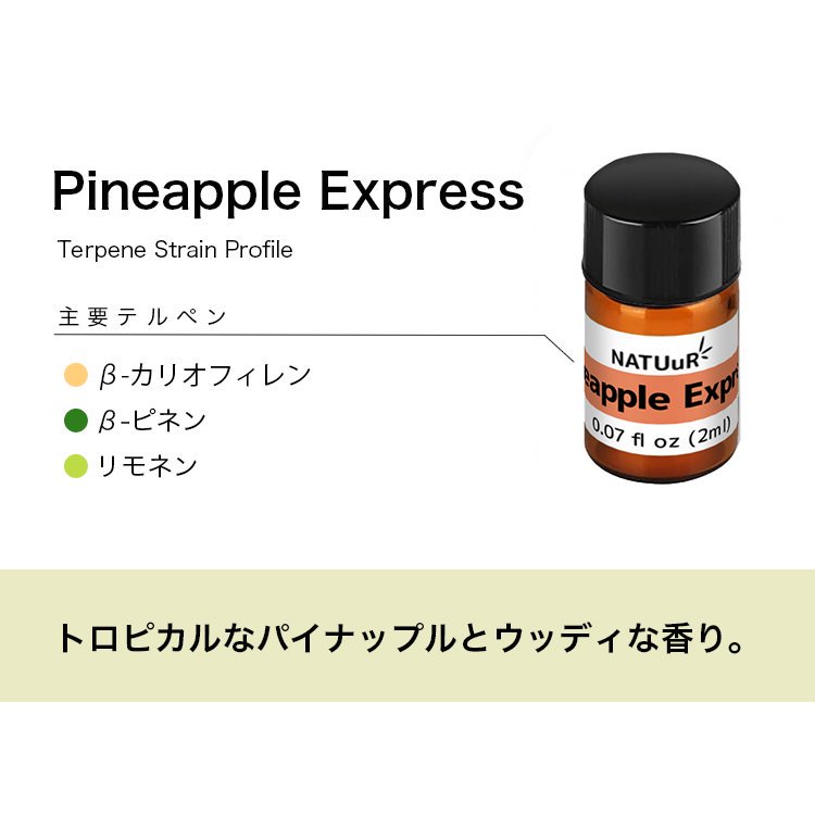 割引お買い得 PEAKTERPENES製テルペンスタビライザー 8OZ/NOTHC P006