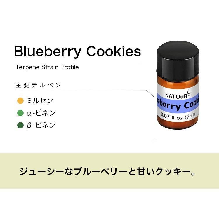 NATUuR - テルペン Strain Profile Terpenes 10ml - headshop ZiPPY!
