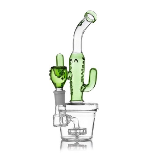 HEMPER - Cactus Jack 饹ܥ
