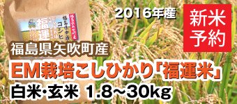 2016年福島県産こしひかり新米予約YOSHIMIファーム無農薬玄米
