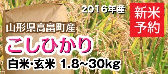 2016年こしひかり新米予約いのファーム無農薬玄米