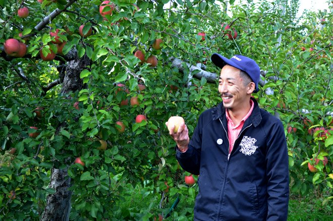 りんごの本場津軽の葉とらずサンふじ。葉とらず栽培のりんごはあまり赤くなりませんが、葉っぱのちからで栄養を果実に送り美味しいりんごが収穫できるため最近人気の高い栽培方法のりんごです。