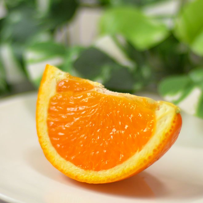清見オレンジ（清見タンゴール）カットは林檎のようにして食べます。