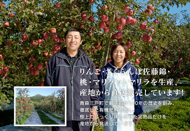 青森県三戸郡三戸町の佐々木さんのりんご有袋ふじ。減農薬栽培でまるかじりＯＫ。お試しください。