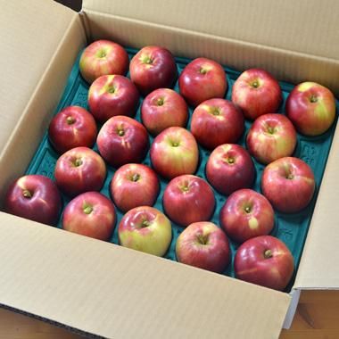 沖田さんの家庭用葉とらず紅玉大40個