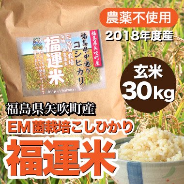 パティ様専用 新米 無農薬コシヒカリ玄米20kg(5kg×4)令和4年 徳島県産-