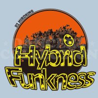 DJ HIROKING HYBRID FUNKNESS