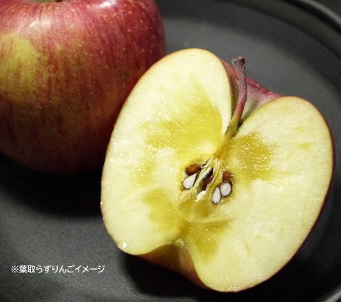 葉とらずりんご　青森トキりんご