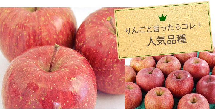 りんごの人気の品種　サンふじ