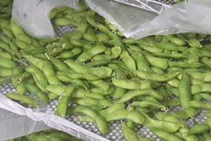 国産冷凍枝豆