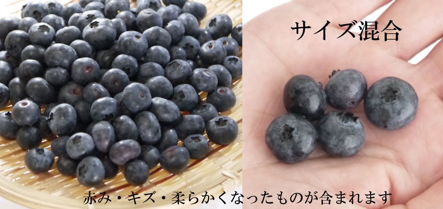サイズ混合のブルーベリー果実