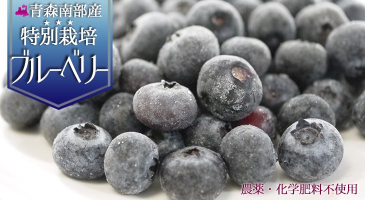 農薬・化学肥料不使用の青森県産冷凍ブルーベリー果実（特別栽培）