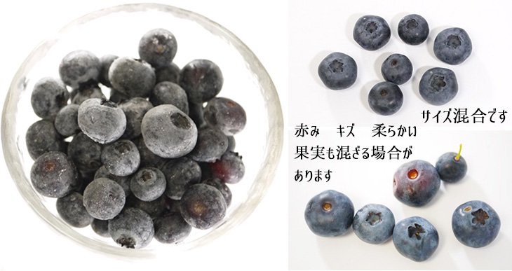 サイズ混合のブルーベリー果実