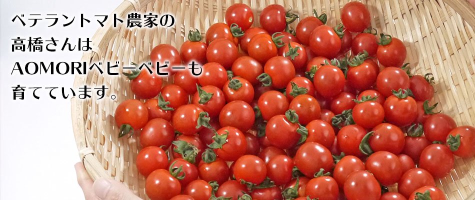 高橋さんはベテラントマト農家