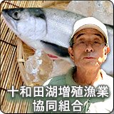 十和田湖増殖漁業協同組合