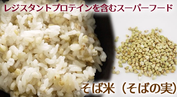 レジスタントプロテインというタンパク質が含まれるそば米（そばの実）