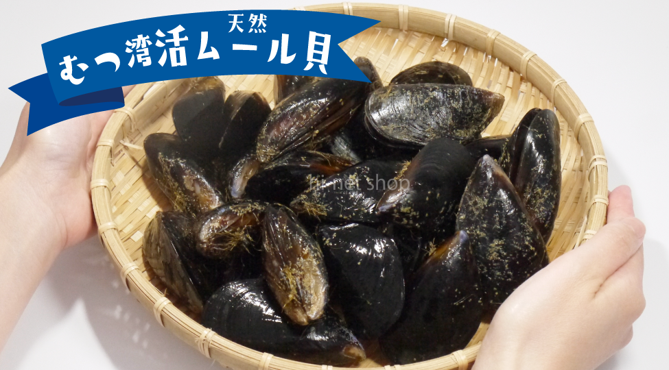 青森むつ湾 天然活ムール貝（しゅうり貝）