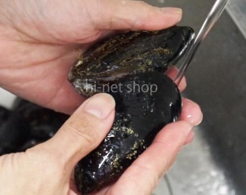 青森むつ湾 天然活ムール貝（しゅうり貝）の下処理の仕方