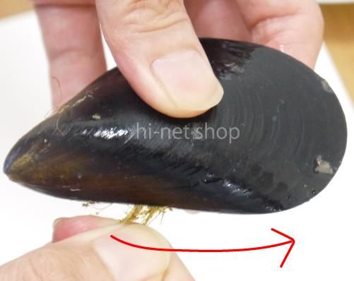 青森むつ湾 天然活ムール貝（しゅうり貝）の下処理の仕方