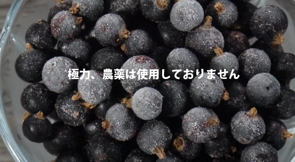 あおもりカシスの会｜青森県産カシス（黒房すぐり）果実（厳選大粒）