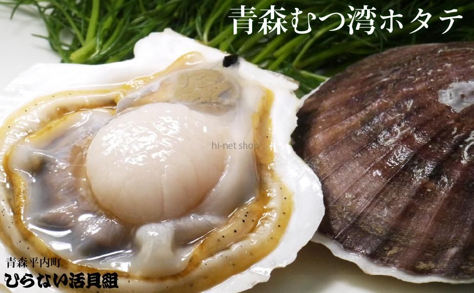 青森むつ湾活ホタテ 殻付きほたて