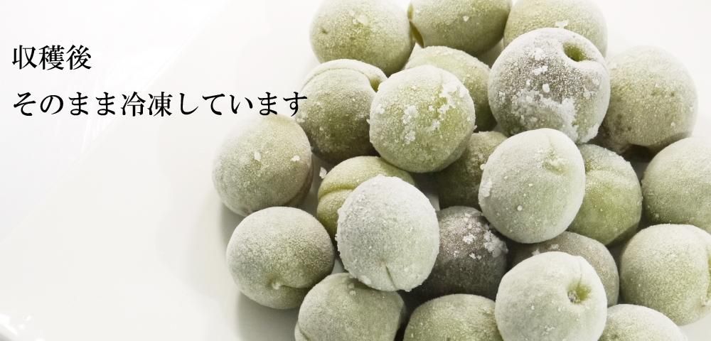 冷凍梅 梅の実 青梅