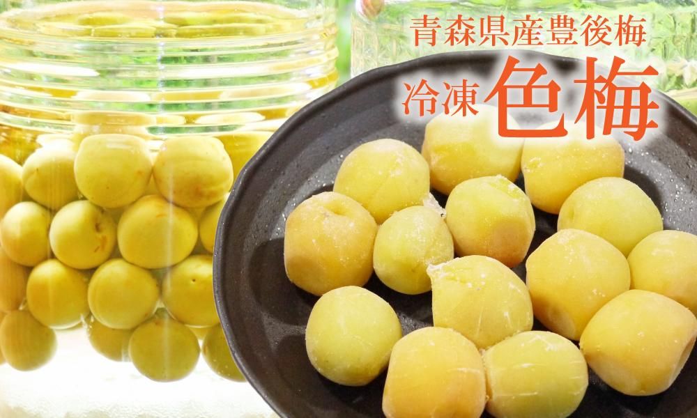 青森県産冷凍色梅 冷凍梅　梅の実