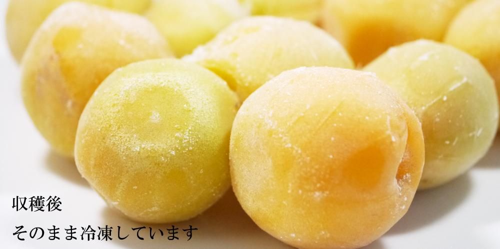 青森県産冷凍色梅