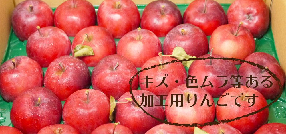 青森県産りんご 中まで赤いりんご「ジェネバ」