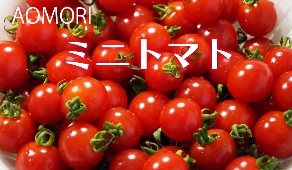 青森県産完熟ミニトマト