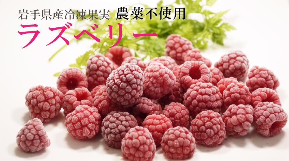 農薬不使用ラズベリー冷凍果実