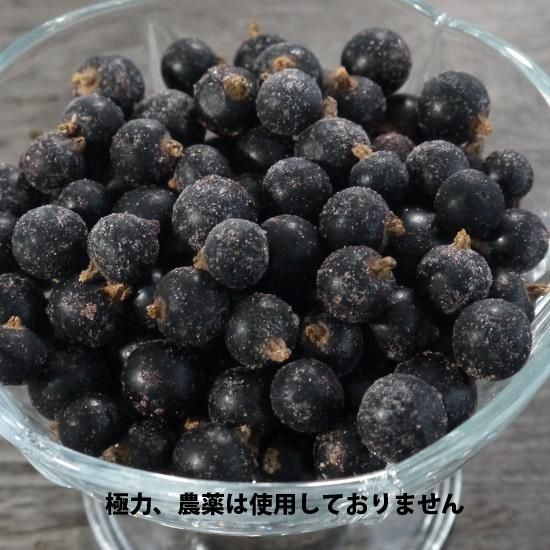 弘前産冷凍カシス20キロ currant-3kg-top.jpg