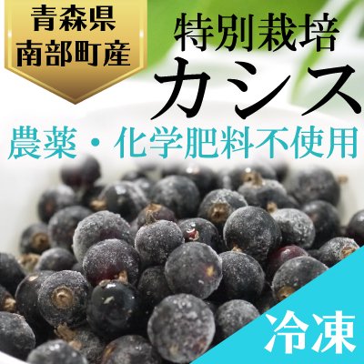 農薬 化学肥料不使用の青森県産冷凍カシス果実 特別栽培