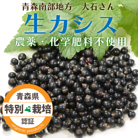 青森県産生カシス果実 特別栽培