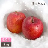 （冷蔵）青森雪中りんご【サンふじ】家庭用中玉約5kg（18〜20個）※3月下旬〜4月上旬頃発送※数量限定のためお一人様2箱まででお願い致します