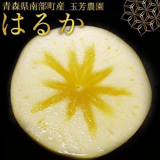 <img class='new_mark_img1' src='https://img.shop-pro.jp/img/new/icons62.gif' style='border:none;display:inline;margin:0px;padding:0px;width:auto;' />󤴤ΤϤ뤫ڽʡ5kg(1420) [˧]