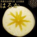 <img class='new_mark_img1' src='https://img.shop-pro.jp/img/new/icons62.gif' style='border:none;display:inline;margin:0px;padding:0px;width:auto;' />󤴤ΤϤ뤫ڽʡ5kg(1420) [˧]