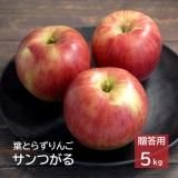 りんごさん専用 楽天市場】【送料無料】長野産 りんご 10kg つがる 秀品 りんご