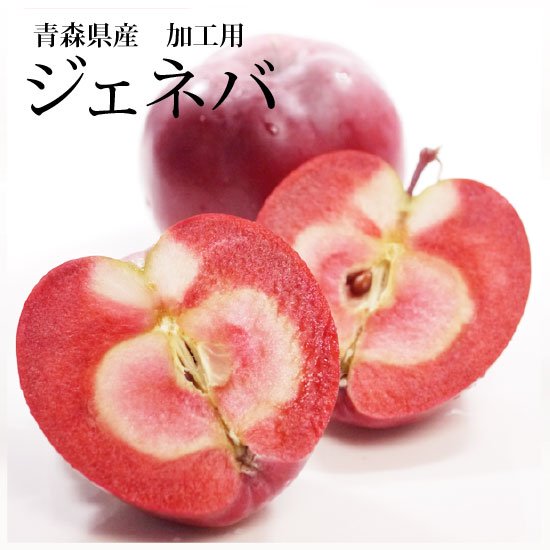 風丸農場 青森鰺ヶ沢産 中まで赤いりんご ジェネバ