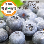 （冷蔵）青森県産生ブルーベリー果実（特別栽培）※サイズ混合[大石さん]※7月中旬頃発送開始予定