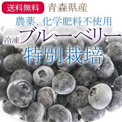 農薬 化学肥料不使用の青森県産冷凍ブルーベリー果実 特別栽培 農薬 化学肥料不使用の青森県産冷凍ブルーベリー果実 特別栽培
