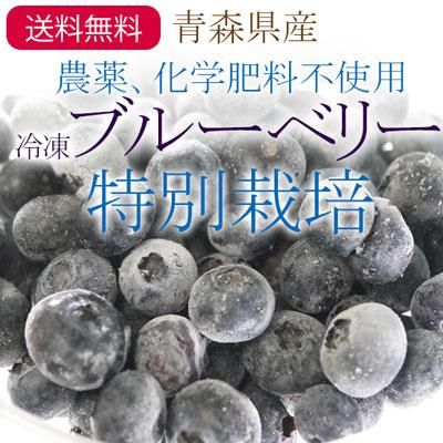 農薬 化学肥料不使用の青森県産冷凍ブルーベリー果実 特別栽培