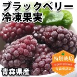 （冷凍）青森県産ブラックベリー冷凍果実（特別栽培）[樋口さん]※8月下旬から発送開始予定です