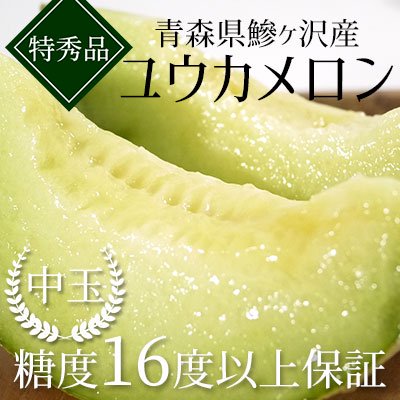 ユウカメロン【糖度16度以上保証】