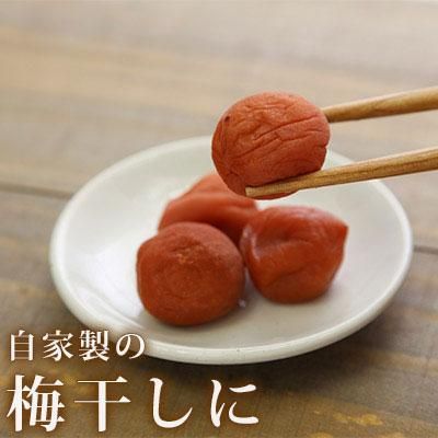 青森の完熟梅 [豊後梅ぶんごうめ] 2L～3Lサイズ混合