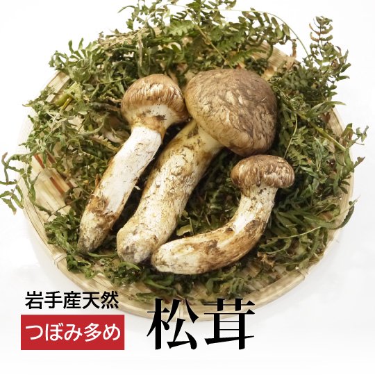 岩手県産松茸 - 野菜